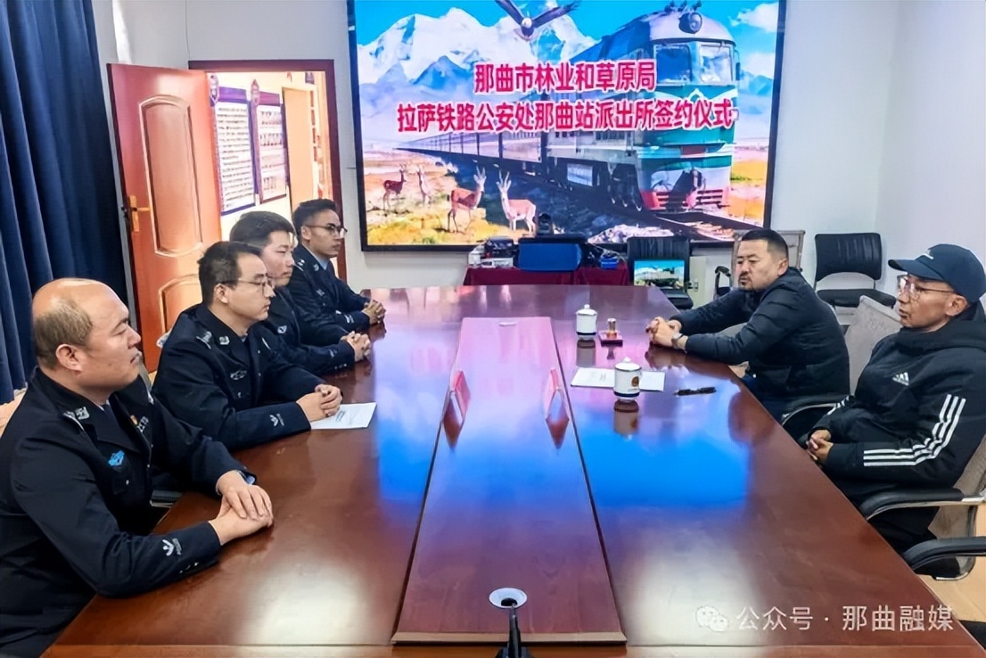 青藏铁路西藏段首个！